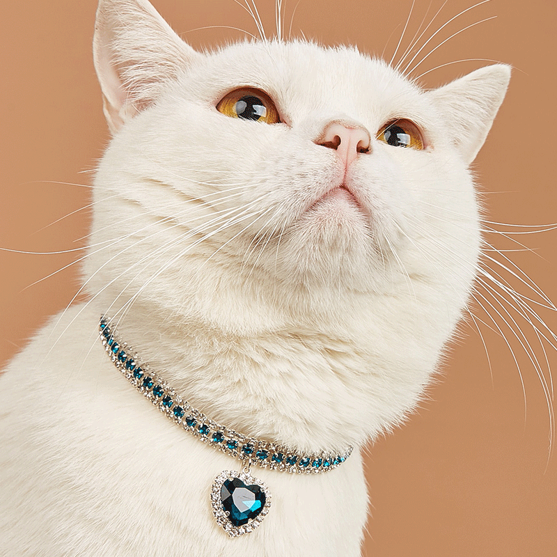 Pet collar dog /cat necklace collar decoration