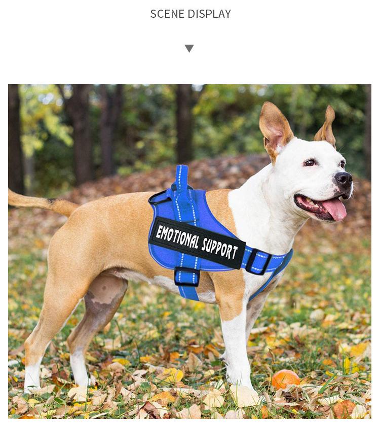 Dog chest strap leash Pet vest explosion-proof impact leash