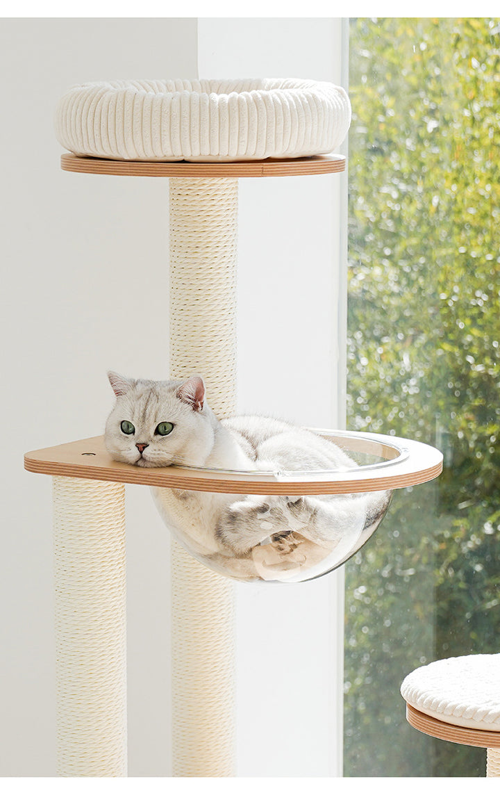 Cat  Scratcher  Cat Climbing Frame Jump Platform Space Capsule Cat Litter