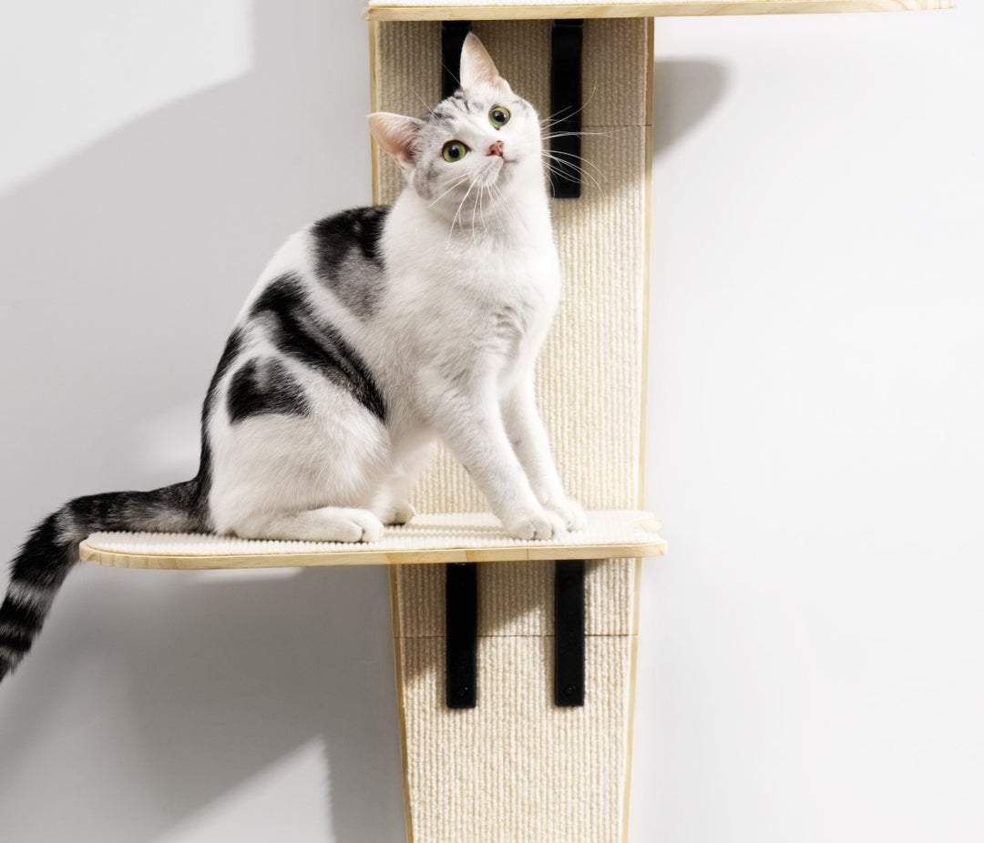 Door Hanging Cat Scratching Board Solid Wood Cat Climbing Frame