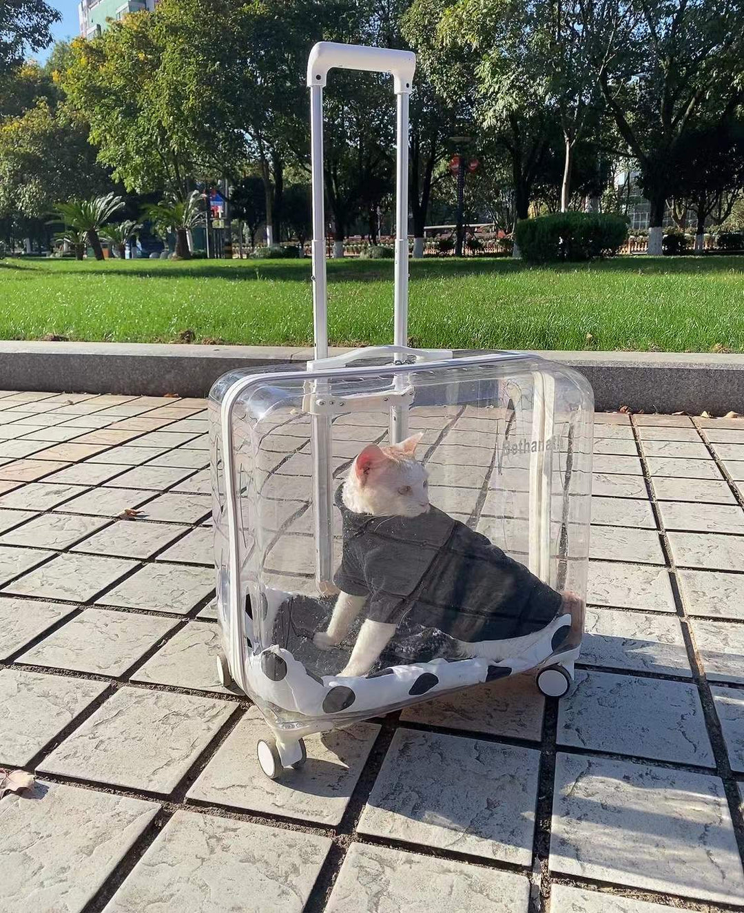 Oversized Clear Pet Trolley Bag for Cats and Dogs
