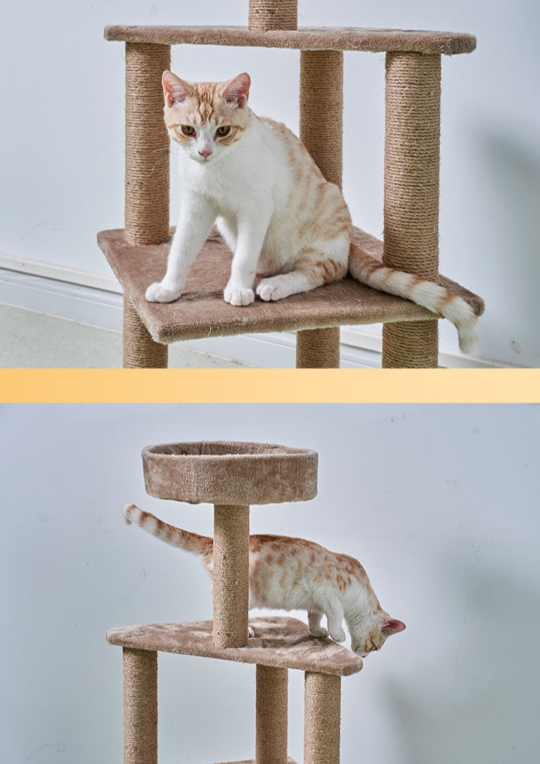 Cat Climbing Cat Scratching Post Cat Bed Cat Toy Cat Tree