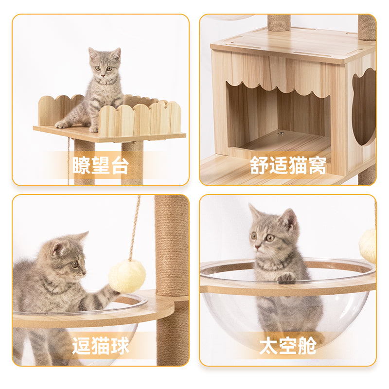 Cat Cando Cat scratching board Cat Tree house