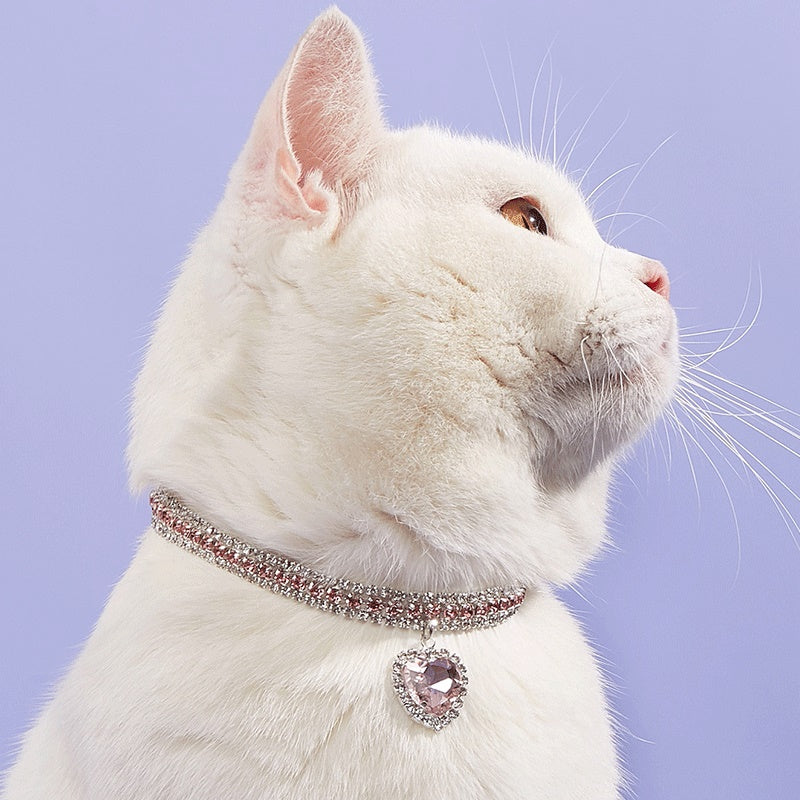 Pet collar dog /cat necklace collar decoration