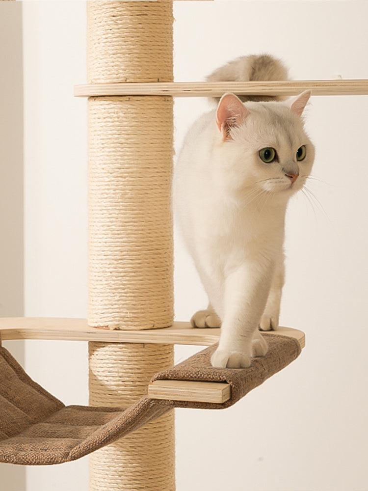 Solid Wood Cat Climbing shelf cat toy Scratching Post