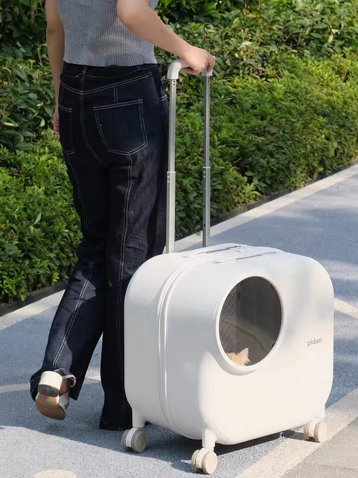 Pet Trolley Bag Travel Box Small Dog/Cat Large Capacity Space Capsule Cat Pack