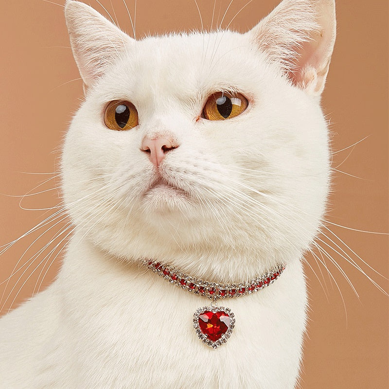 Pet collar dog /cat necklace collar decoration