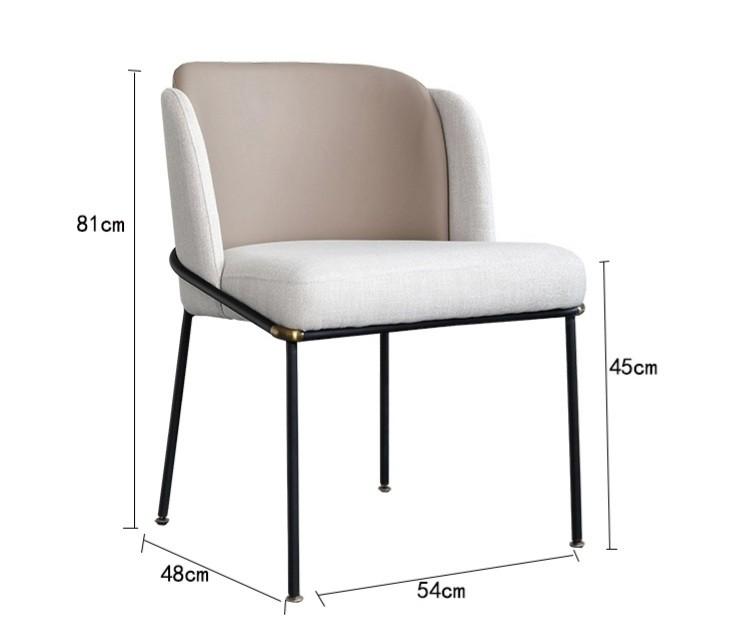 Modern  Dining Chair