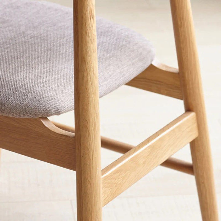 Modern Dining Chair (Set of 2)