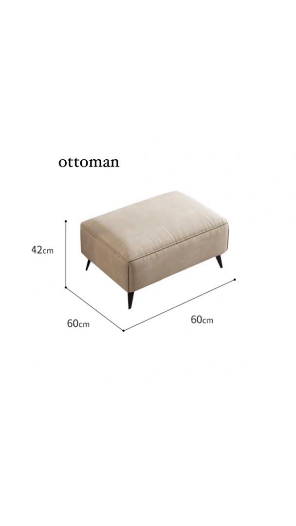 Modern Leathaire Sofa