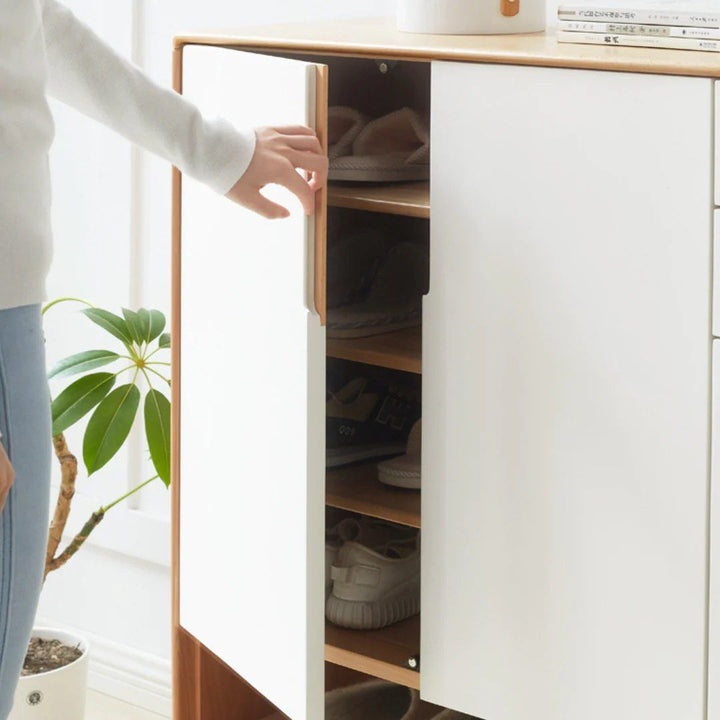 Shoe Storage Cabinet