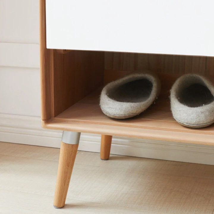 Shoe Storage Cabinet