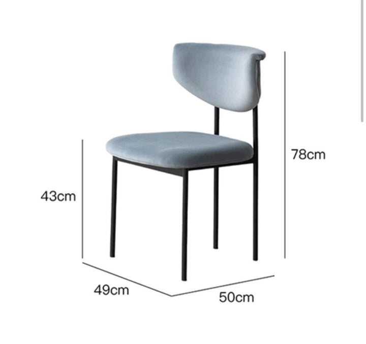 Dining Chair (set of 2)