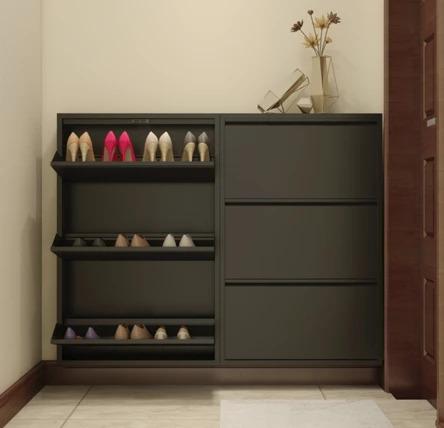 Modern and Sleek Shoe Cabinet