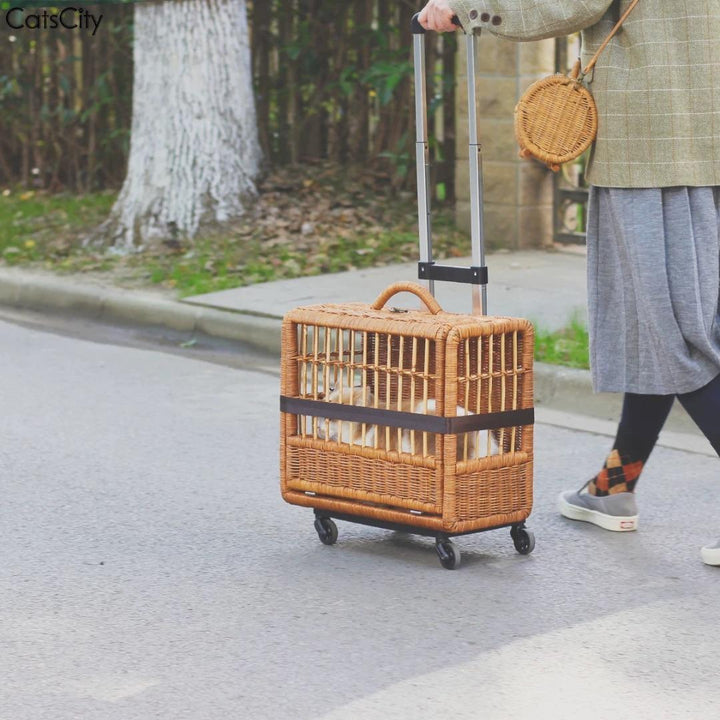 Rattan Rolling Stroller