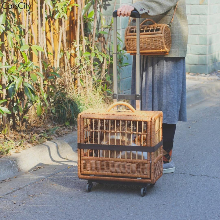 Rattan Rolling Stroller