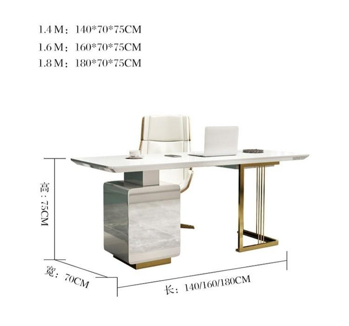 Modern Luxury Study Office Desk