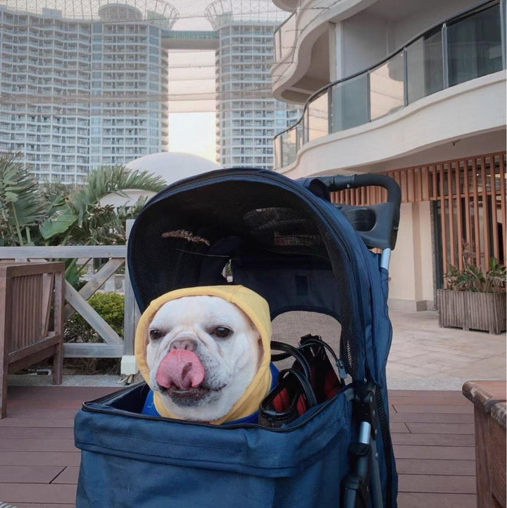 Easy Foldable Pet Travel Stroller Large Space Ventilated