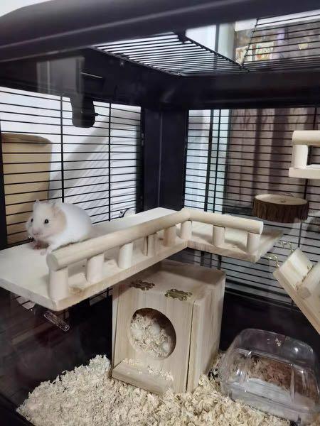 Matte Black Full Accessories Hamster Cage Home