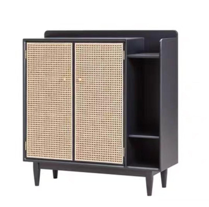 Modern and Contemporary Mesh Shoe Storage Cabinet