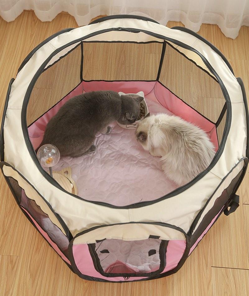 Pink Cat Kitten Playroom Pet Tent Collapsible Foldable