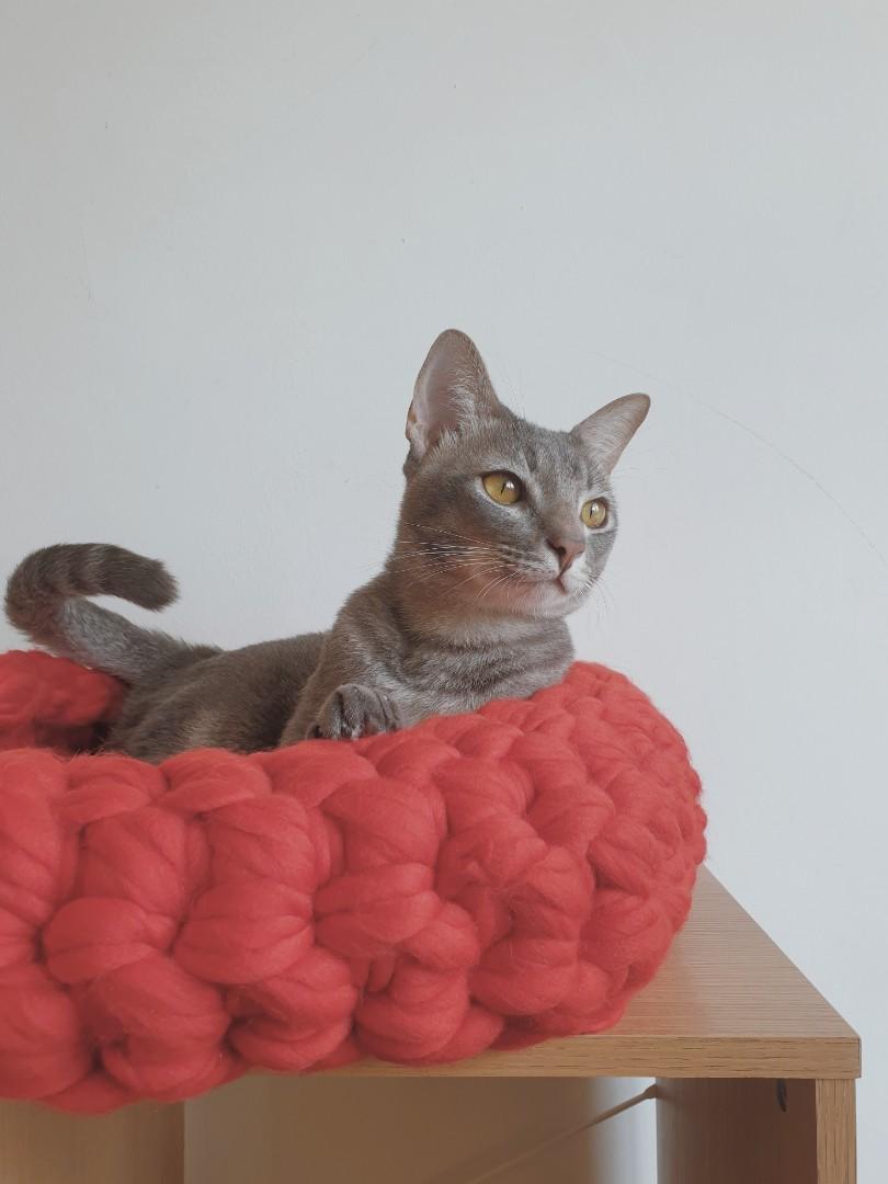 Red Wool Festive Cat Bed Handmade