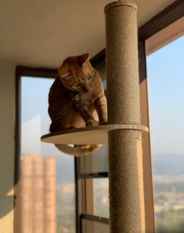 Solid Wood Cat Tower Pole Scratcher Condo