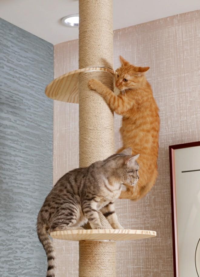 Solid Wood Cat Tower Pole Scratcher Condo