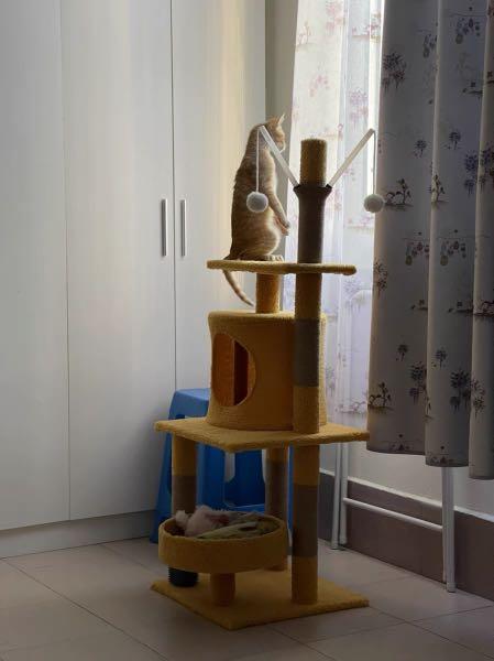 Tall Cat Condo TreeHouse Scratcher