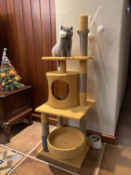 Tall Cat Condo TreeHouse Scratcher