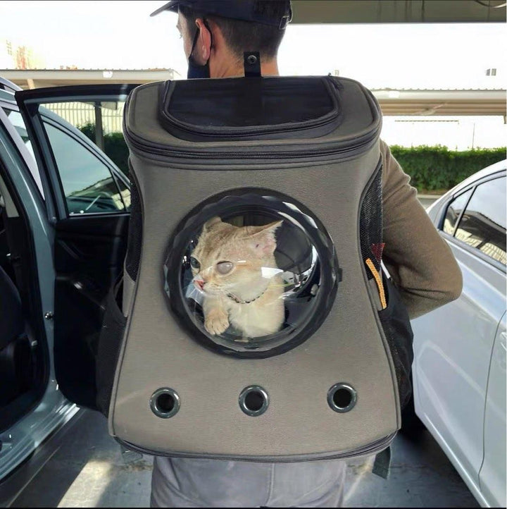 Large Cat Dog Backpack Bubble Capsule Carrier